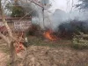 जंगल में लगी भीषण आग हजारों पेड़ों के जलने की आशंका 